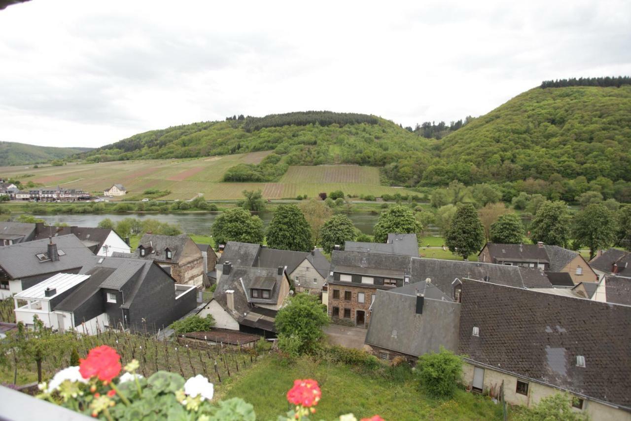 Ferienwohnung Moselblick-Stein Valwig Exteriör bild