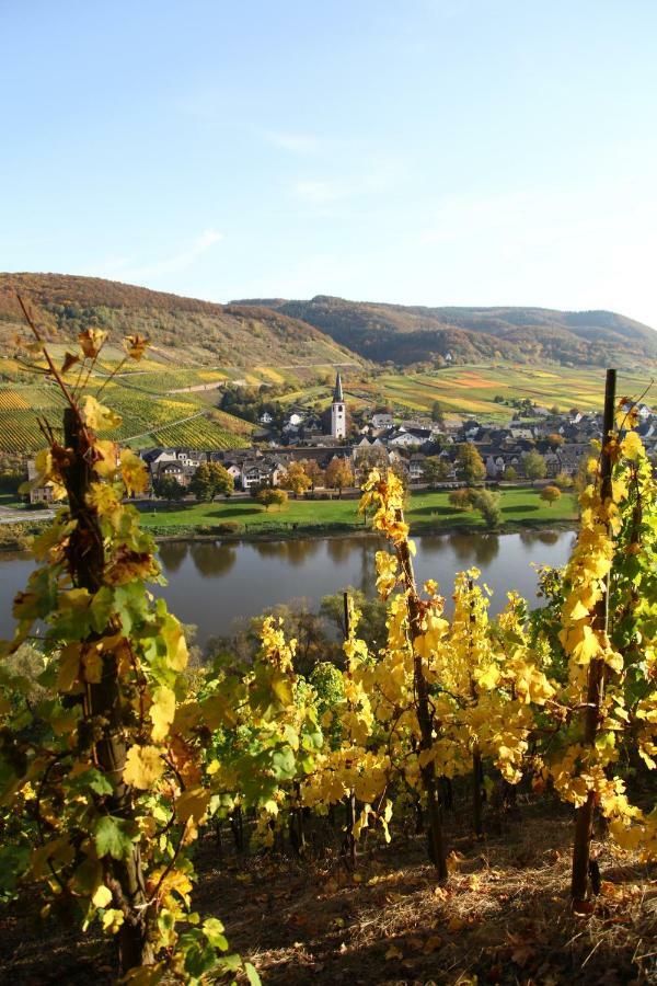 Ferienwohnung Moselblick-Stein Valwig Exteriör bild